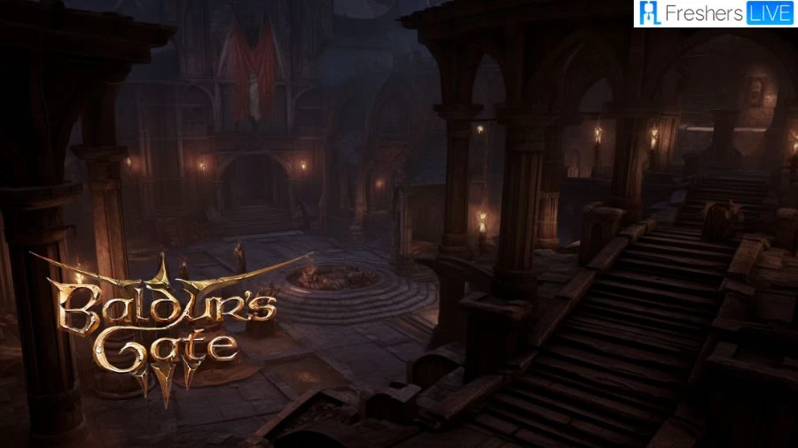 Baldurs Gate 3 Search the Cellar, How To Search the Cellar and Open the Ornate Mirror?