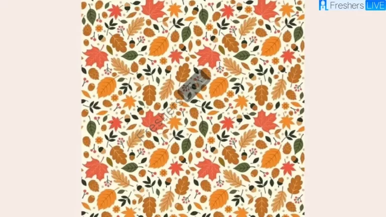Can You Find The Tiny Hedgehog Hiding In This Leafy Scene In 12 Secs? Seek And Find Puzzle