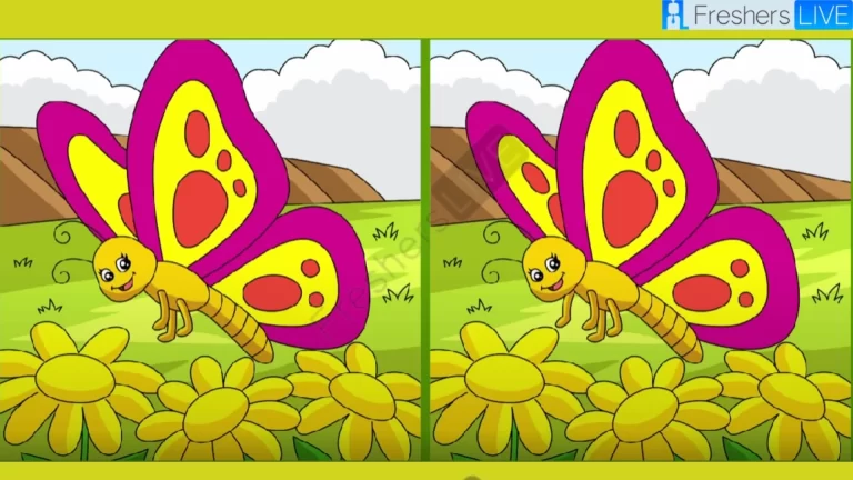 Spot the 3 Differences in the Butterfly Pictures – Test Your Observation Skills!
