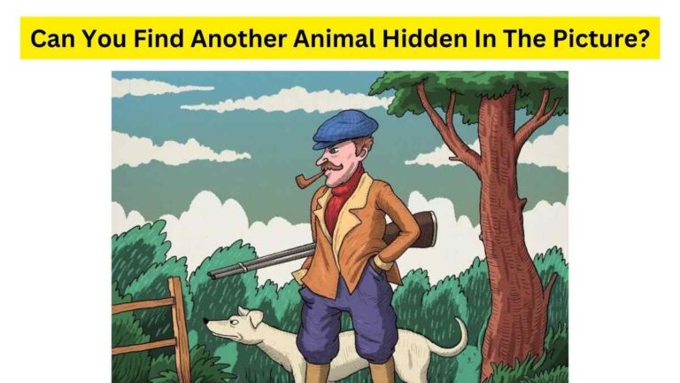 Do you see the second animal hidden in the picture.