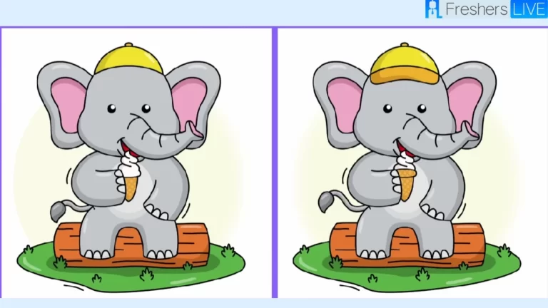 Only 1% of attentive people can spot 5 differences in the Elephant picture in 20 seconds!
