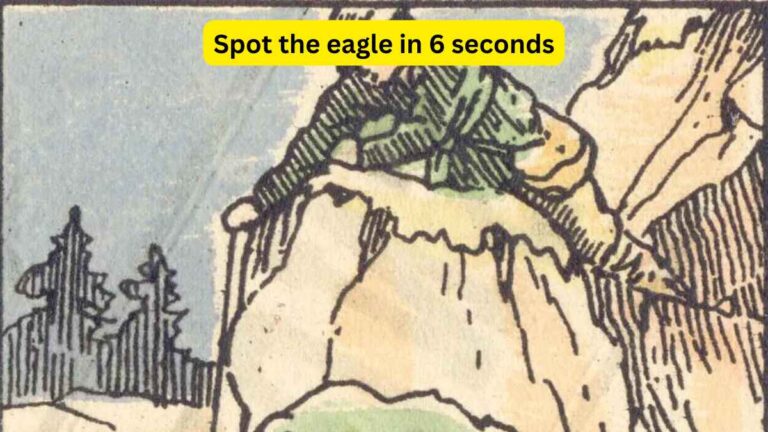 Optical Illusion- Spot the eagle on the mountain in 6 seconds