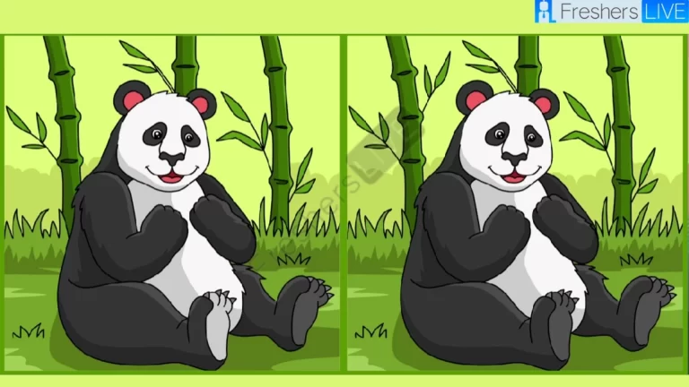 Only Extra Sharp Eyes can spot the 3 differences in the Panda picture within 12 seconds