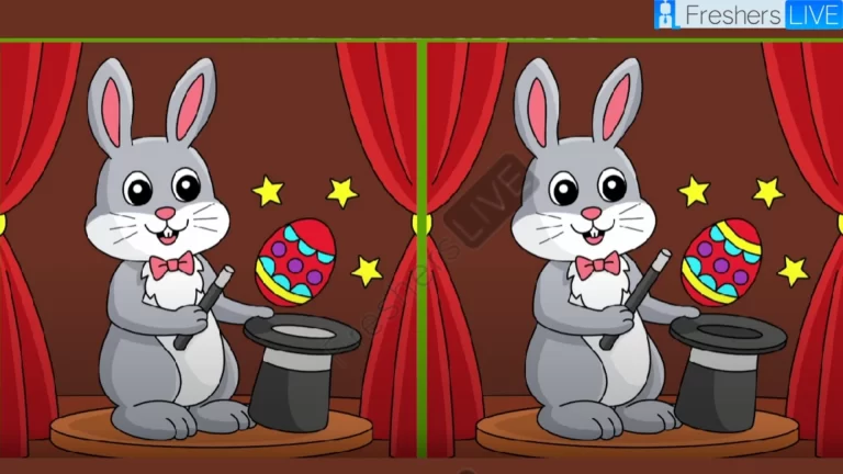 Spot 3 differences between the rabbit pictures in 15 seconds!