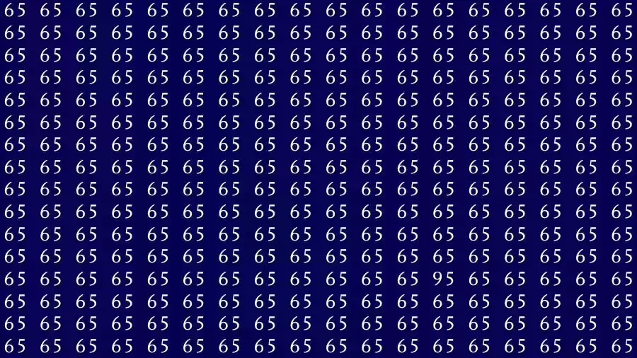 Observation Skill Test: If you have Eagle Eyes Find the number 95 among 65 in 12 Seconds?