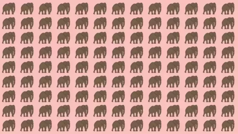 Observation Skill Test: If you have Eagle Eyes find the Odd Elephant in 10 Seconds