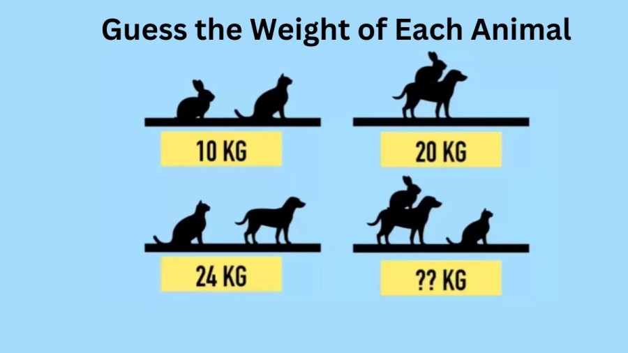 Brain Teaser: Can you Solve and Guess the Weight of Each Animal