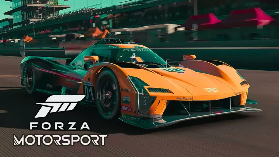 Forza Motorsport 8 Split Screen, Does Forza Motorsport Have Split Screen?