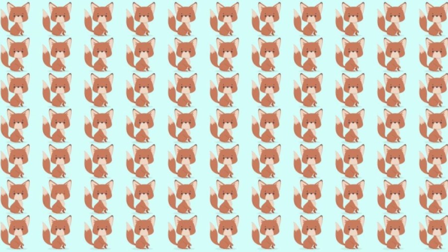 Optical Illusion Spot the Difference Picture Puzzle: Are you a good observer? Spot 3 Differences between the rabbit images in 9 Secs