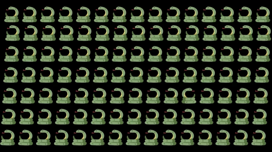 Optical Illusion: Sharp Eye people can spot the Odd Snake in 10 Seconds