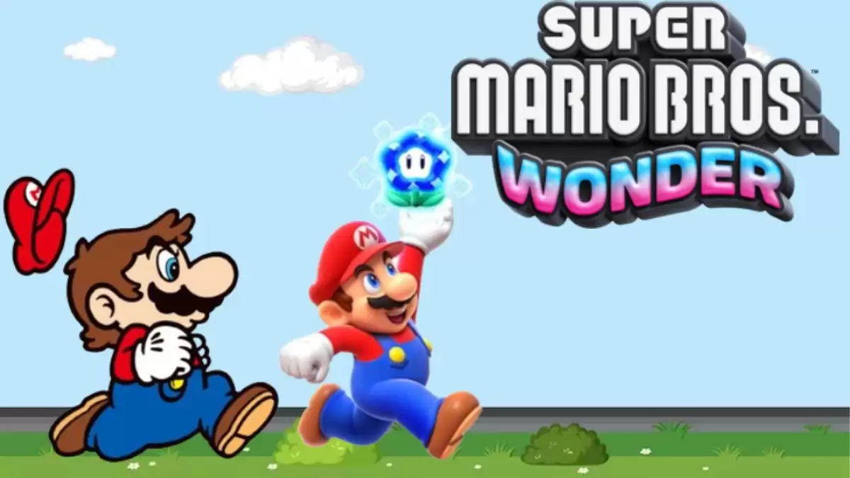 Super Mario Bros. Wonder All Special World Entrances, How to Unlock Special World Entrance Locations?