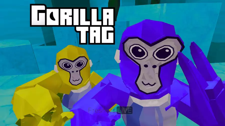 Why is Gorilla Tag Not Working? How to Fix Gorilla Tag Not Working?