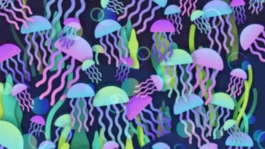 Optical Illusion Challenge: Can you locate the Hidden Mushroom among these Jellyfish within 12 Seconds? Explanation and Solution to the Hidden Mushroom Optical Illusion