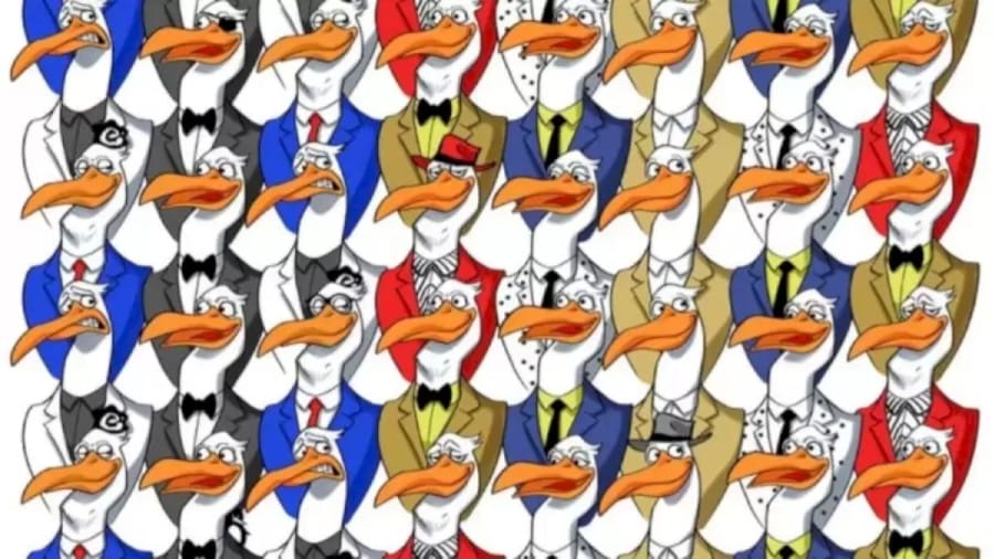 Optical Illusion Find and Seek: Can You Locate the Penguin in 17 Secs?