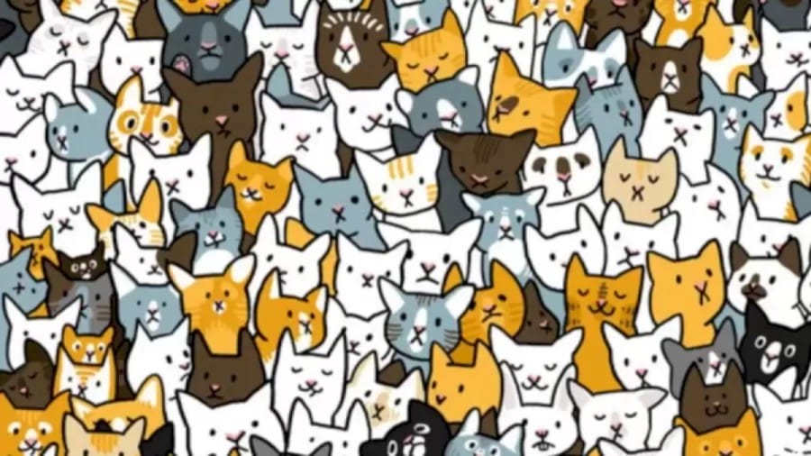 Can You Detect the Bunny Among the Cats within 10 Seconds? Explanation And Solution To The Optical Illusion