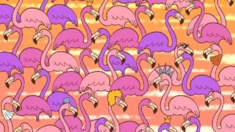 Can You Find A Tiny Heart Hidden Among These Flamingoes Within 16 Seconds? Explanation And Solution To The Hidden Tiny Heart Optical Illusion