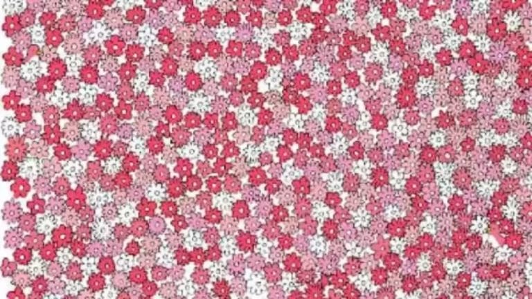 Can You Locate the Duck Among the Flowers in 15 Seconds? Explanation And Solution To The Optical Illusion