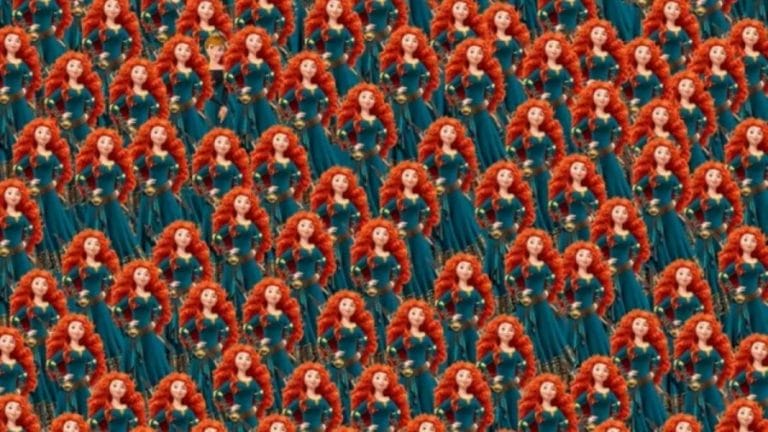 Frozen Lovers Gather Here and Locate Hidden Anna In This Optical Illusion
