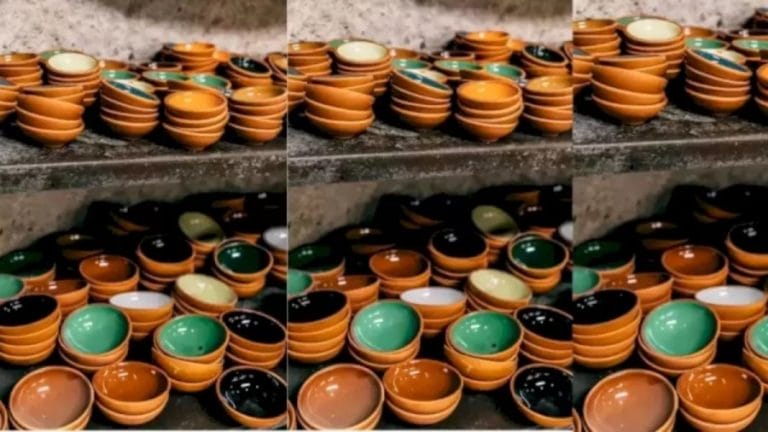 Optical Illusion: Can You Find The Housefly Among These Bowls Within 16 Seconds?