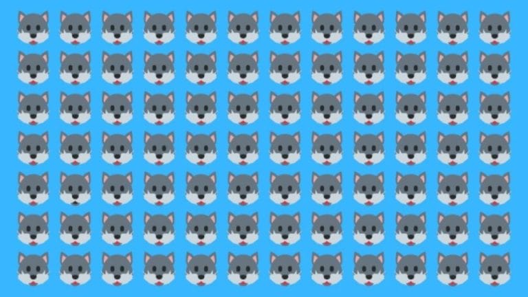 Optical Illusion For Eye Test: You Have 24 Seconds. Try To Find The Odd Wolf