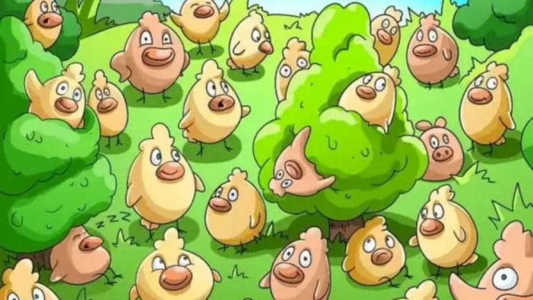 Where is the Pig Optical Illusion? Can You Detect The Hidden Pig Among These Chickens in 14 secs?